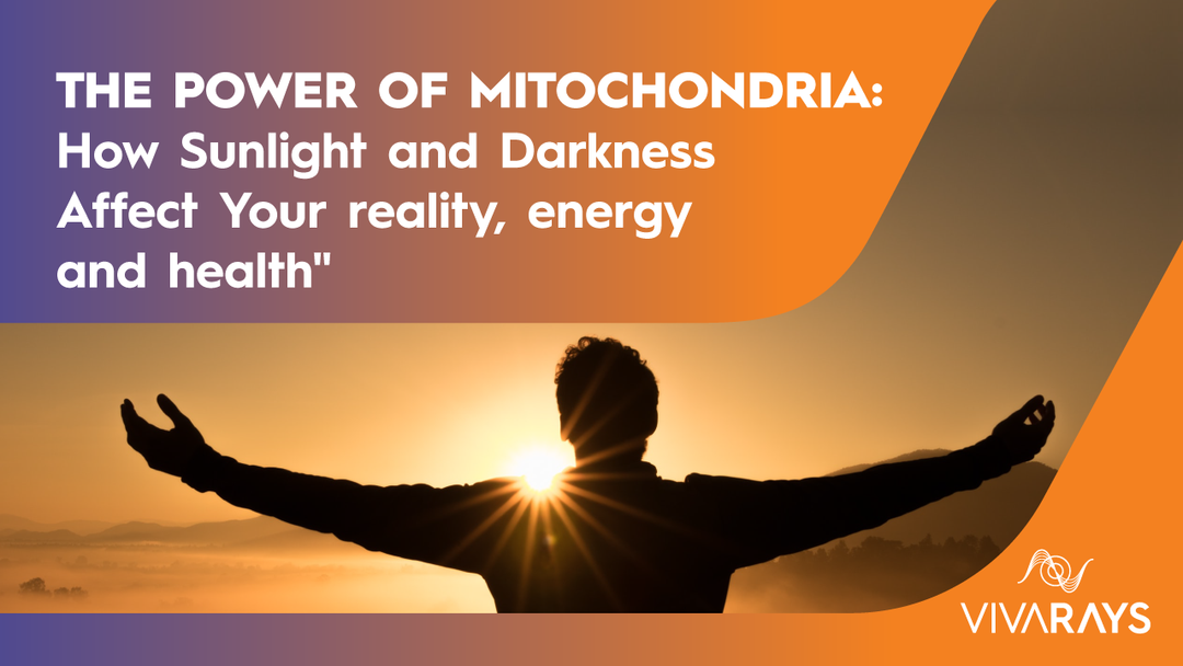 The Power of Mitochondria: How Sunlight and Darkness Affect Your reality, Energy and Health