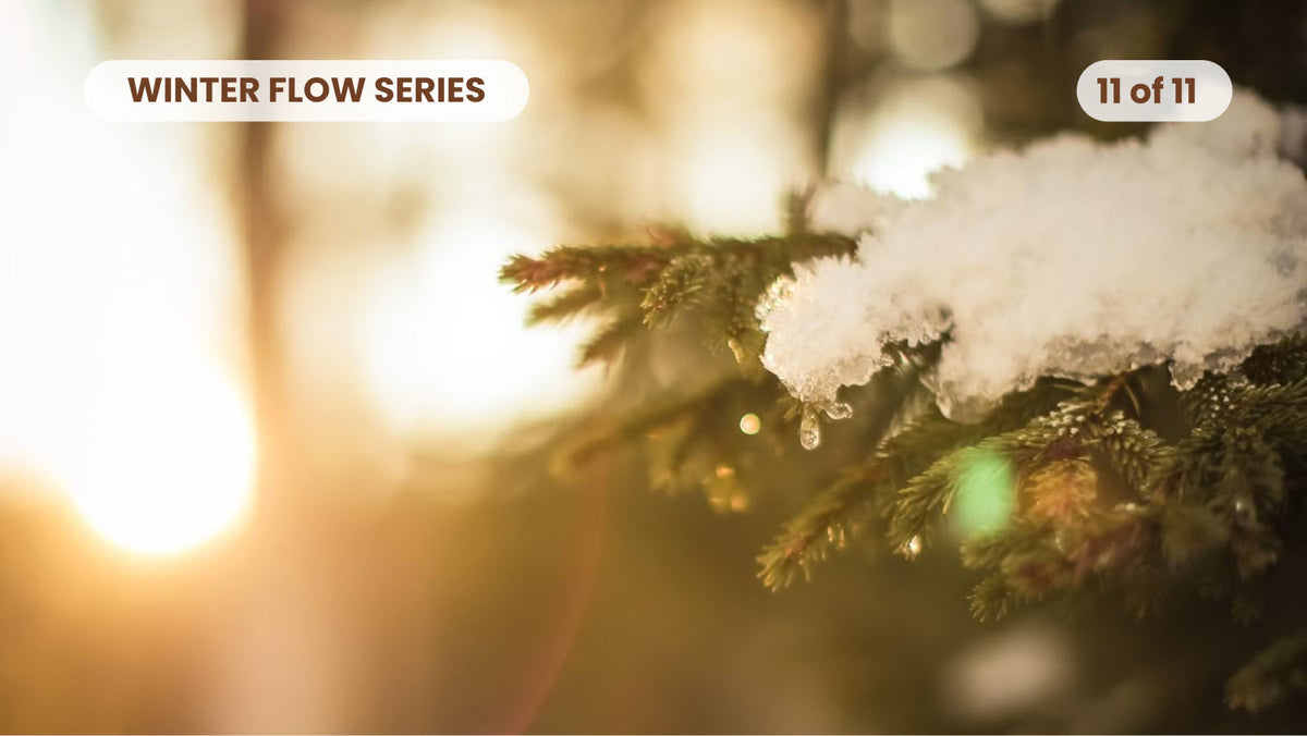 Winter flow 11: Practical steps for all five forces – VivaRays