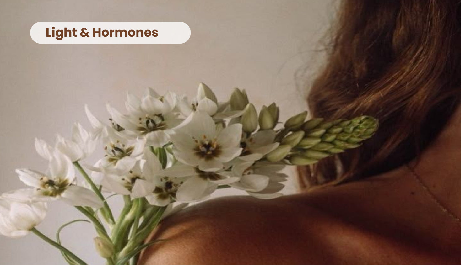 The Hidden Connection Destroying Women's Health: Your Monthly Cycle & Light