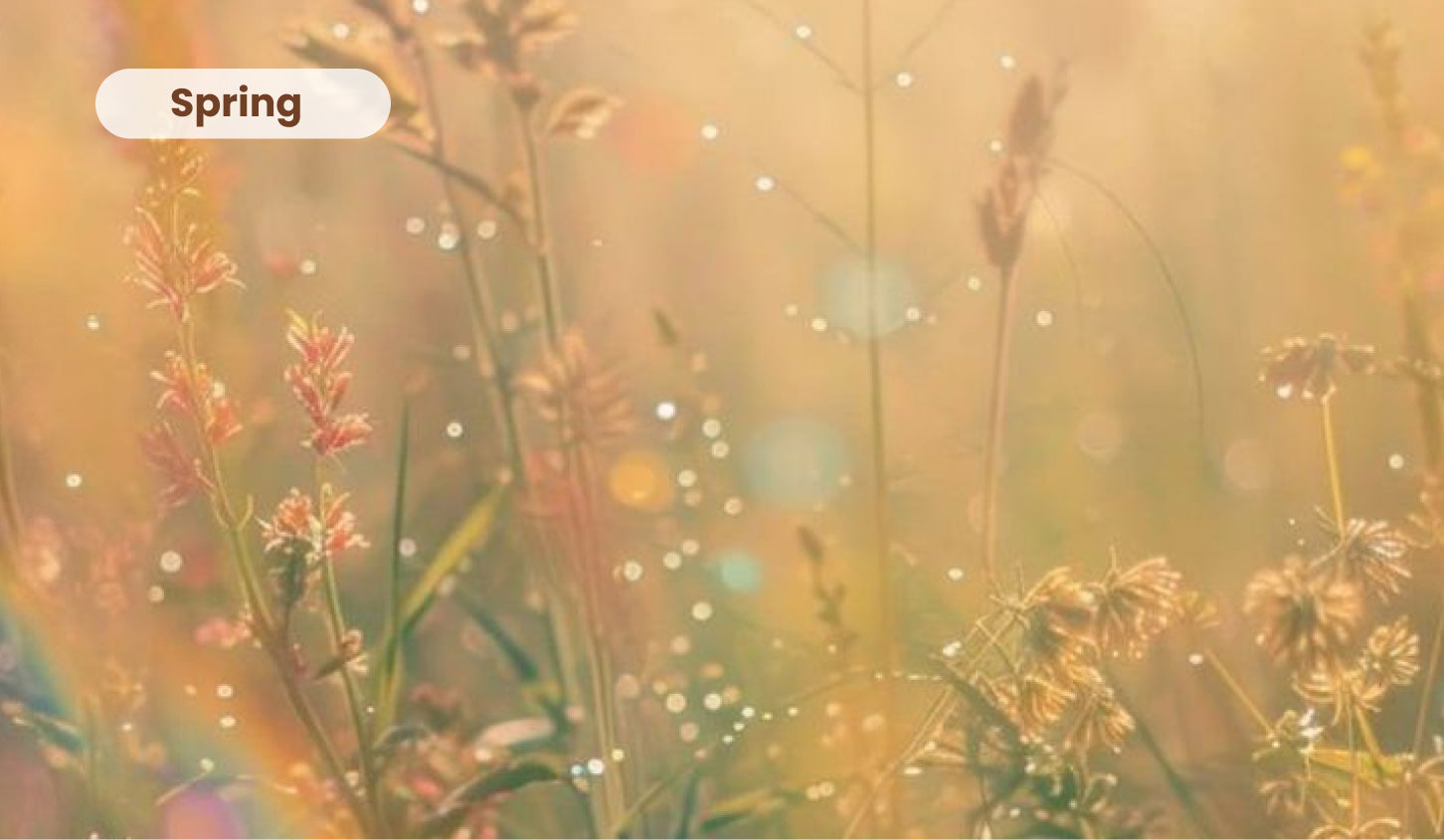 Why Am I So Tired in Spring? (It's Not What You Think)