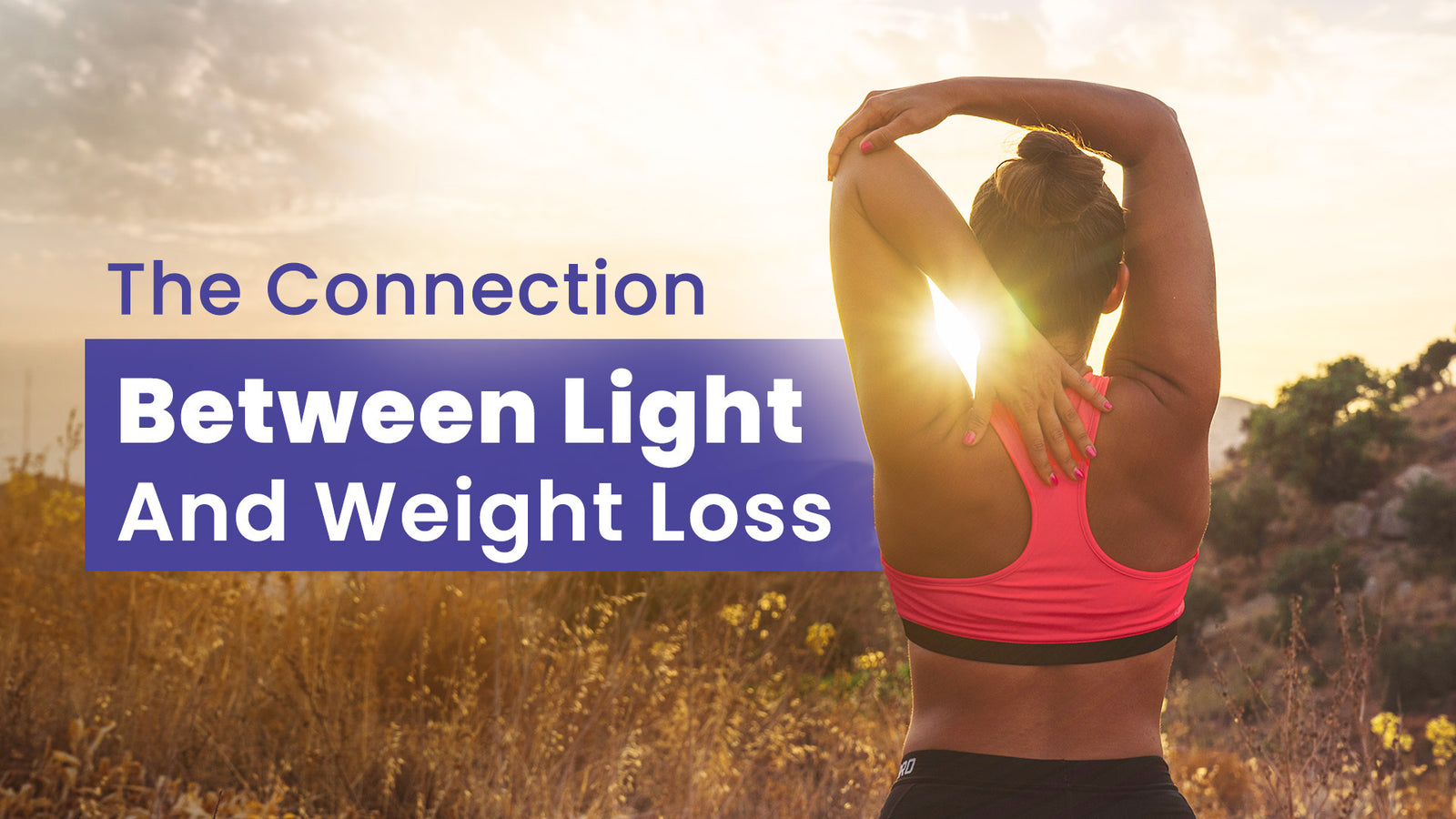 The Connection Between Light And Weight Loss